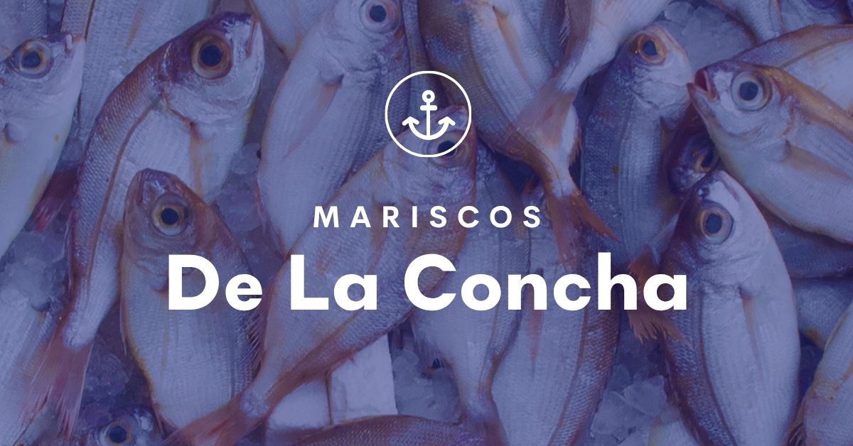 Mariscos de la Concha: Tienda online en Shopify para venta de mariscos con despacho en Santiago