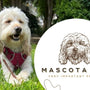 Mascota VIP: Desarrollo de tienda online en Shopify para eCommerce de mascotas