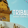 Triballe: Tienda online en Shopify de joyas con identidad de marca